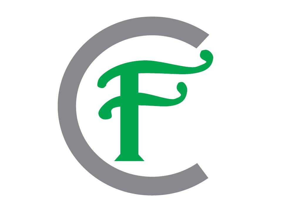 logo fundacji